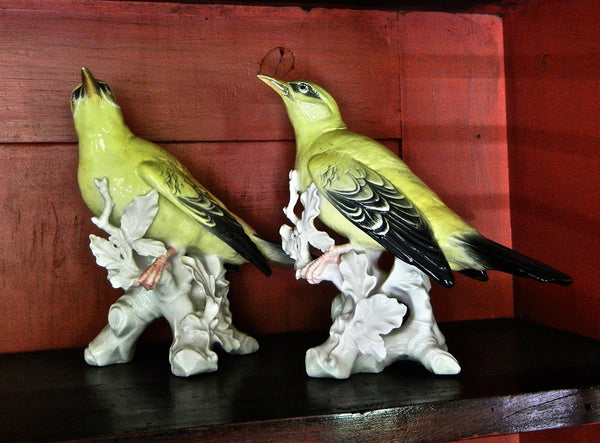 Pair of Yellow Porcelain Orioles Bird Figurines by Karl Ens