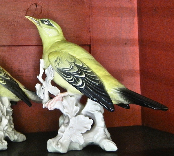 Pair of Yellow Porcelain Orioles Bird Figurines by Karl Ens