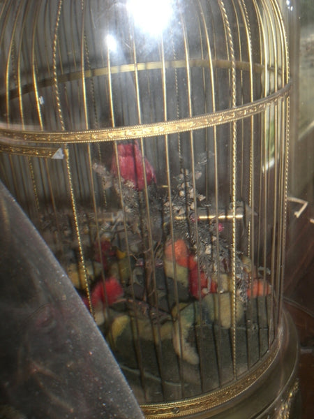 Ormolu Bird Cage Automation - Taxidermy Singing Bird